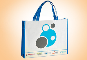 PP non woven bag